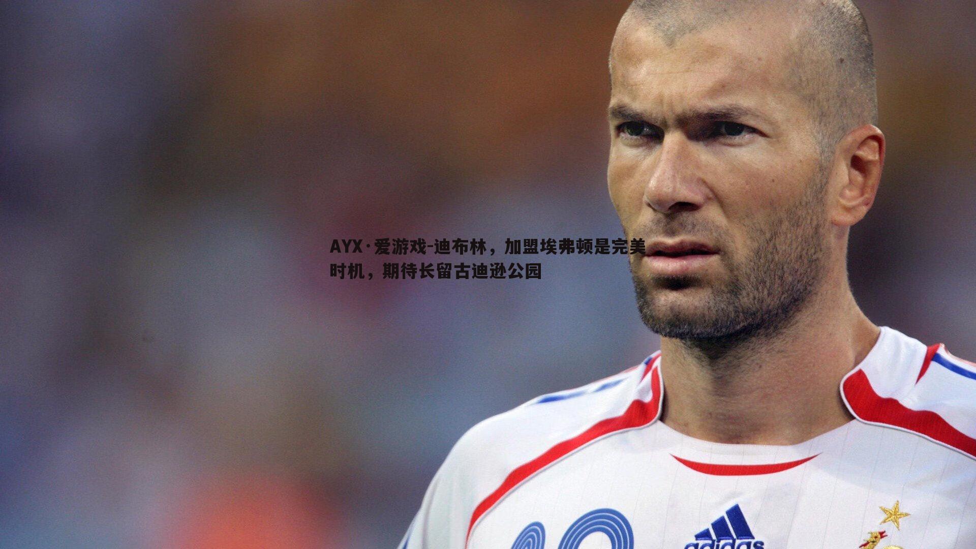 迪布林，加盟埃弗顿是完美时机，期待长留古迪逊公园